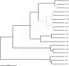 FIG 2