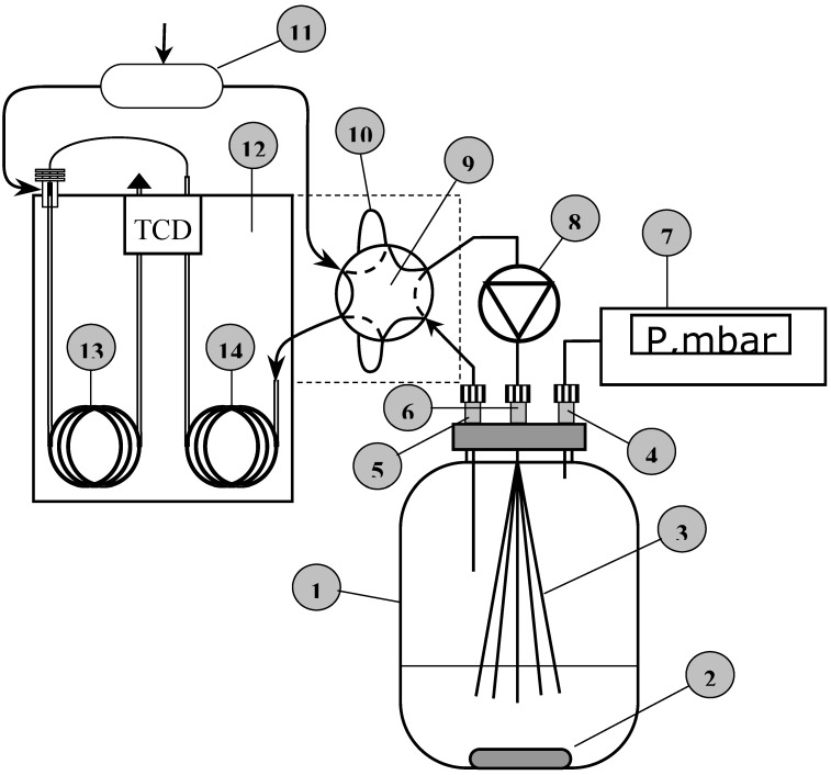 Figure 6