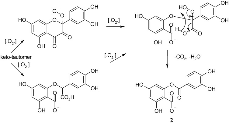 Scheme 5