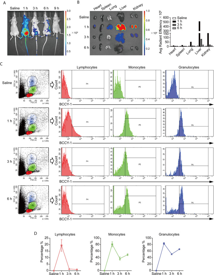 Figure 2