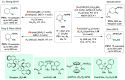 Scheme 61