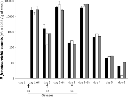 Fig 6