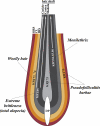 Fig. 3