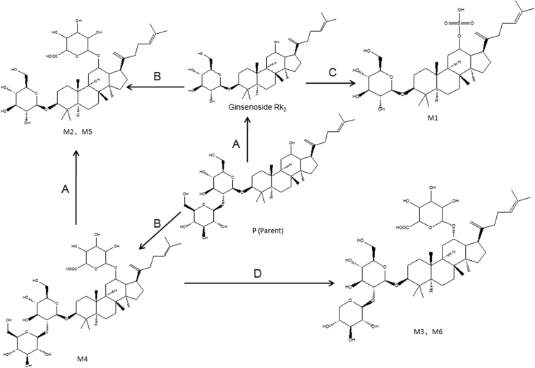 Fig. 2