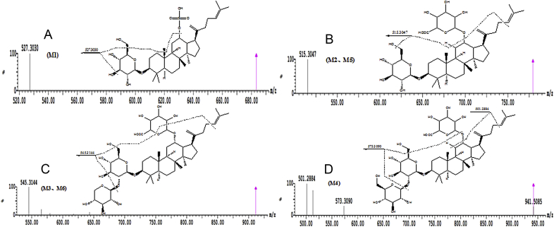 Fig. 1