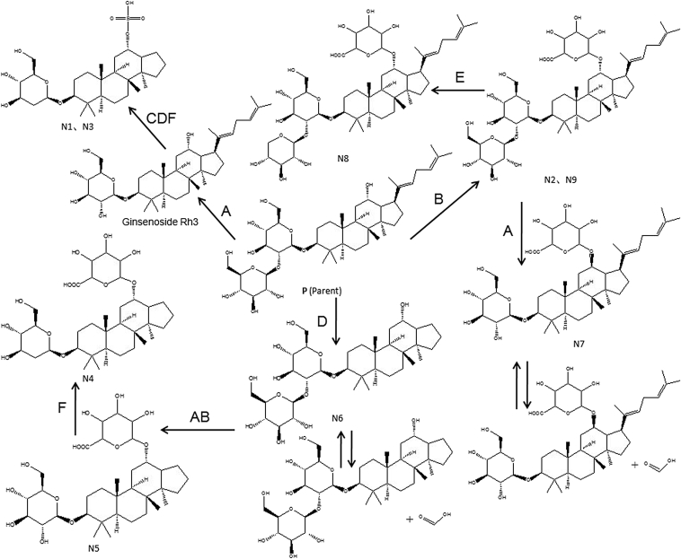 Fig. 4