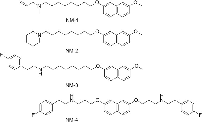 FIG 1