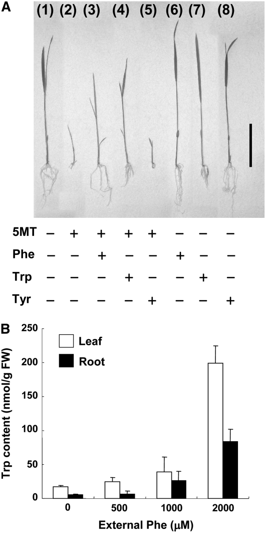 Figure 10.