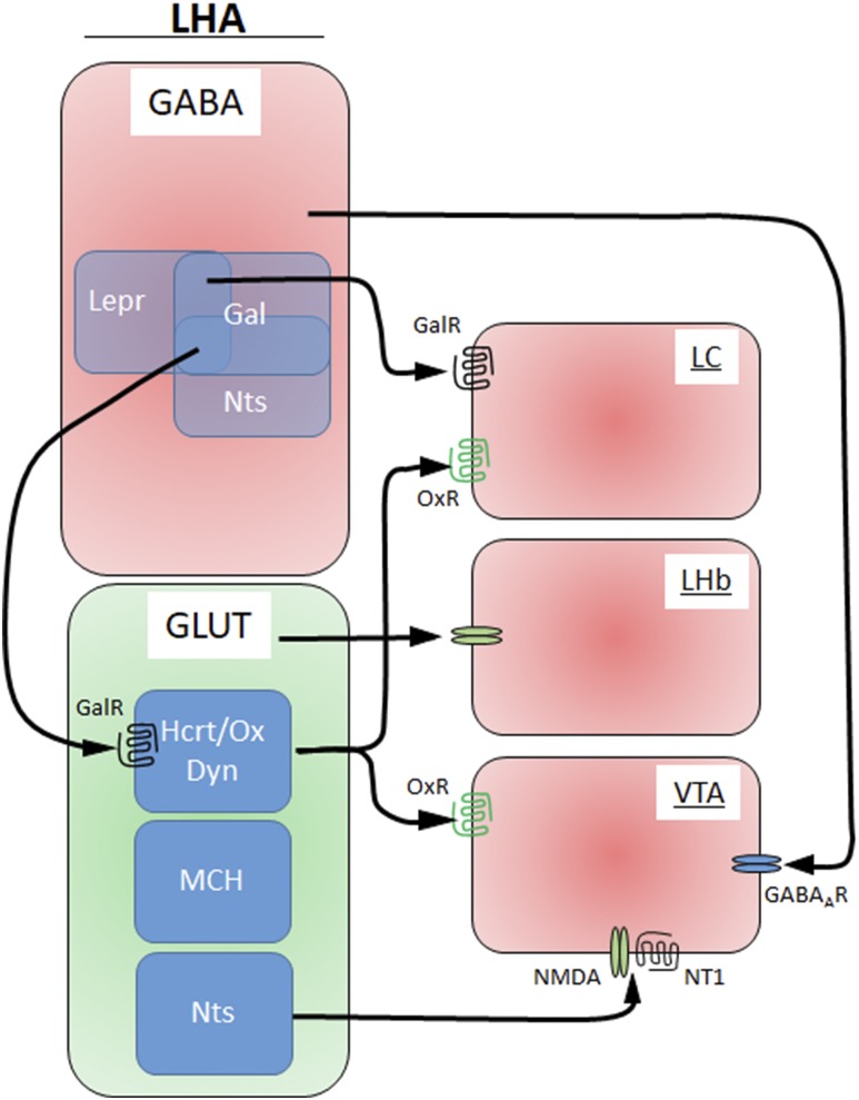 Figure 3.