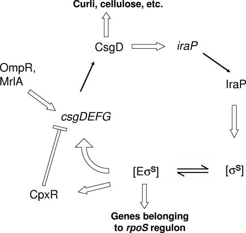 FIG. 8.