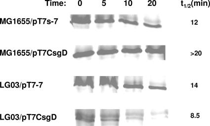 FIG. 7.