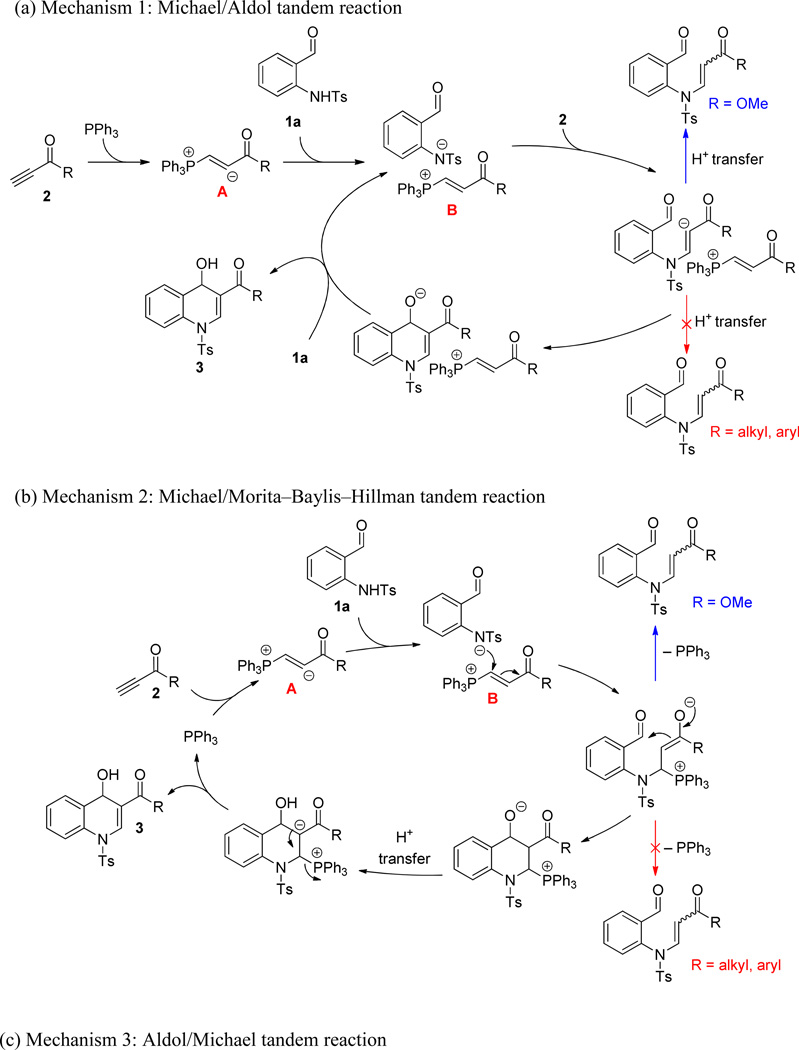 Scheme 4