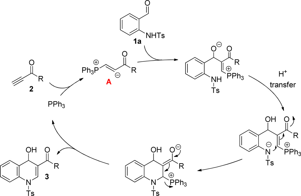 Scheme 4