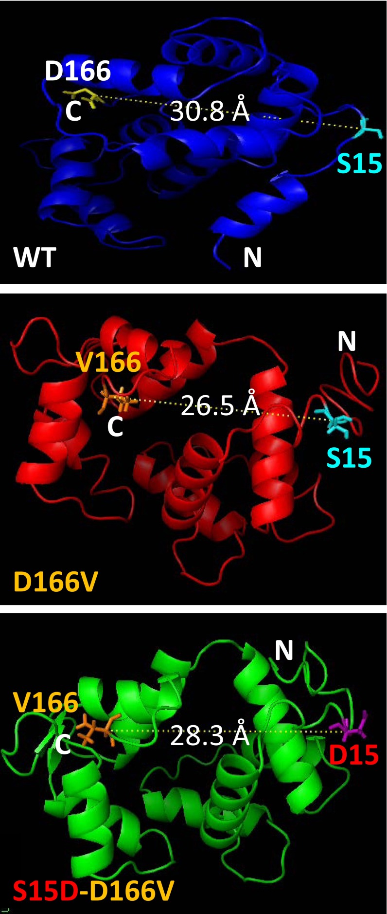 Fig. 6.