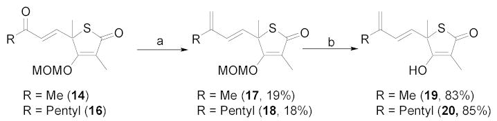 Scheme 2