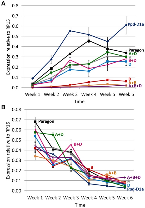 Figure 6