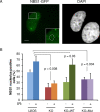 Fig 10