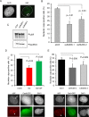 Fig 8