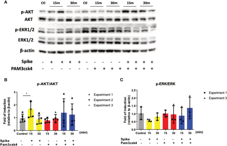 Figure 3