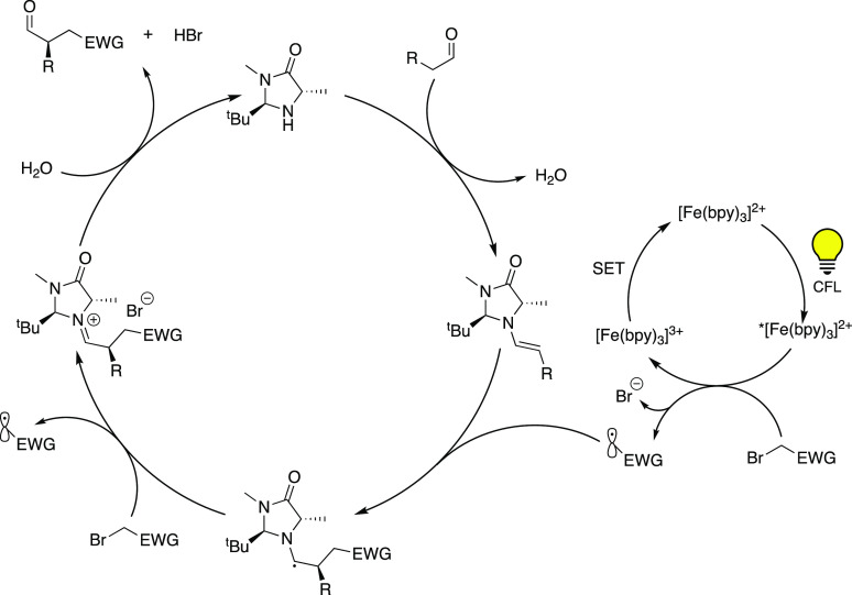 Scheme 3