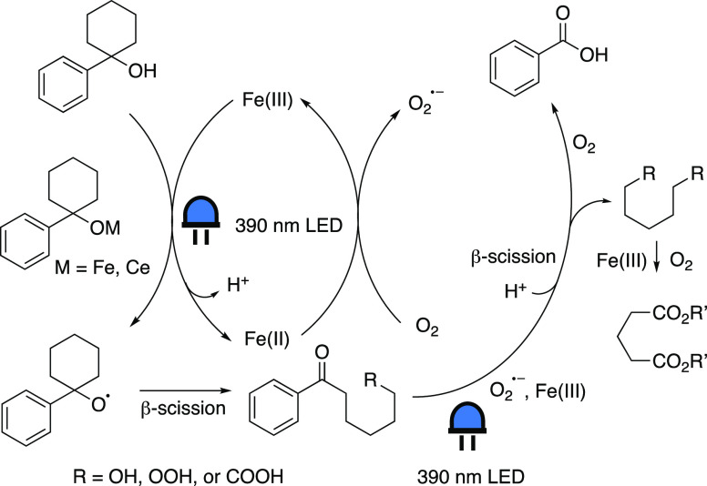 Scheme 10