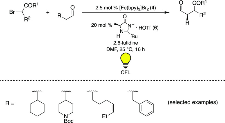 Scheme 2