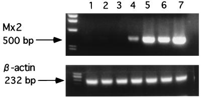 FIG. 6