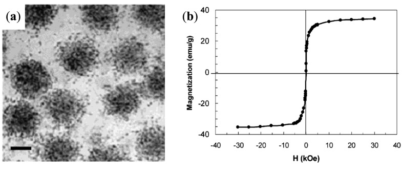 Figure 33