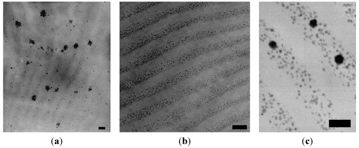 Figure 24