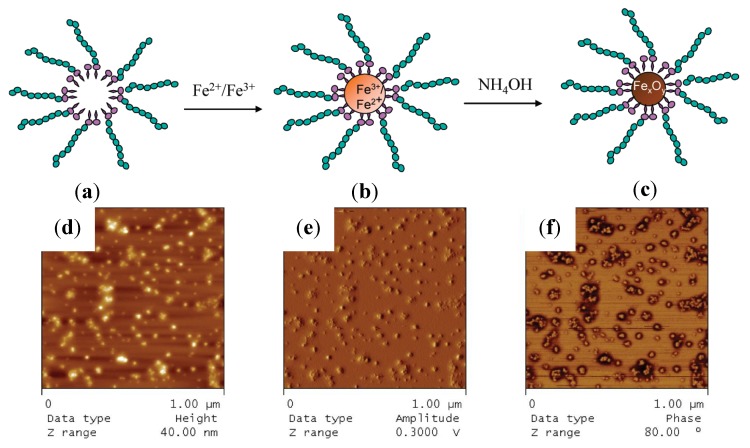 Figure 12