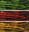Figure 10.