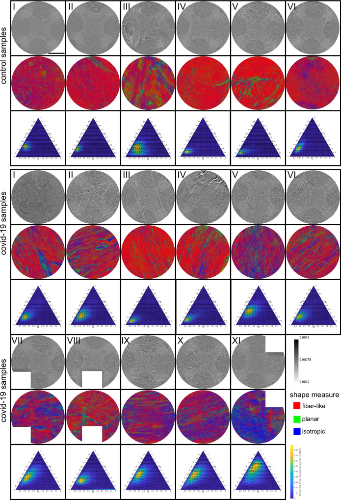 Appendix 1—figure 3.