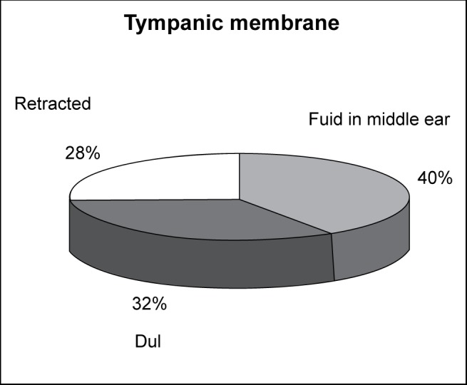 Figure 4 :