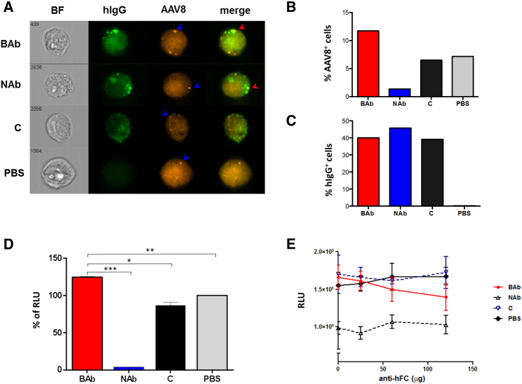 Figure 4