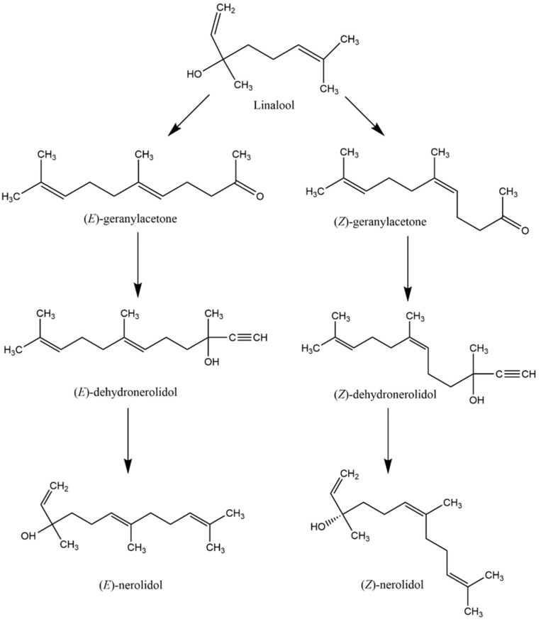 Scheme 1