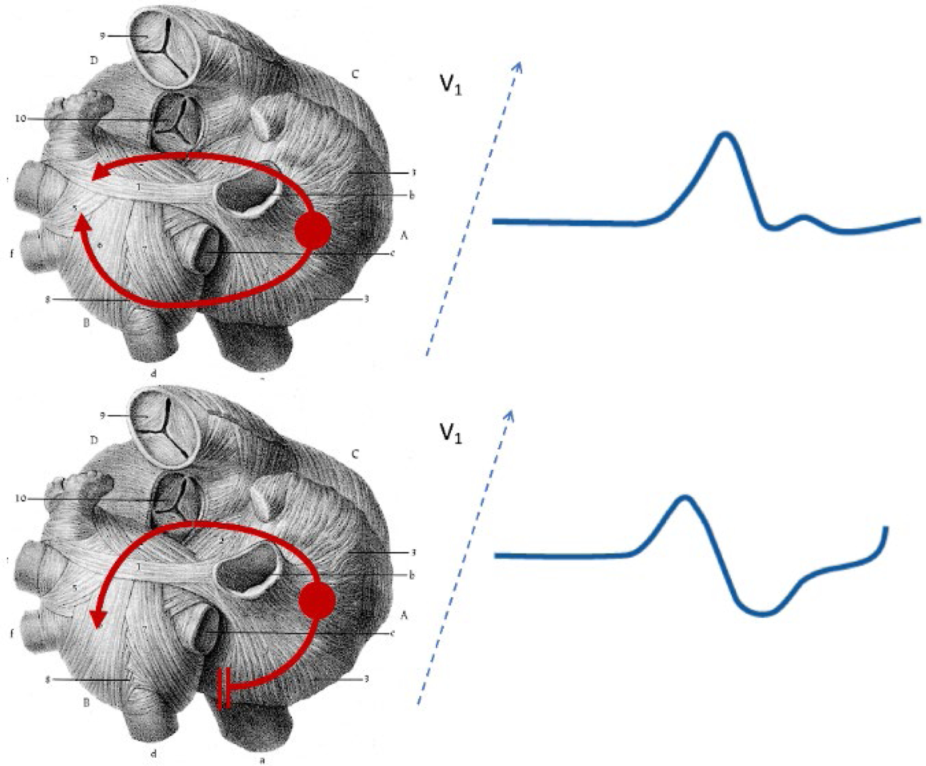 Figure 3: