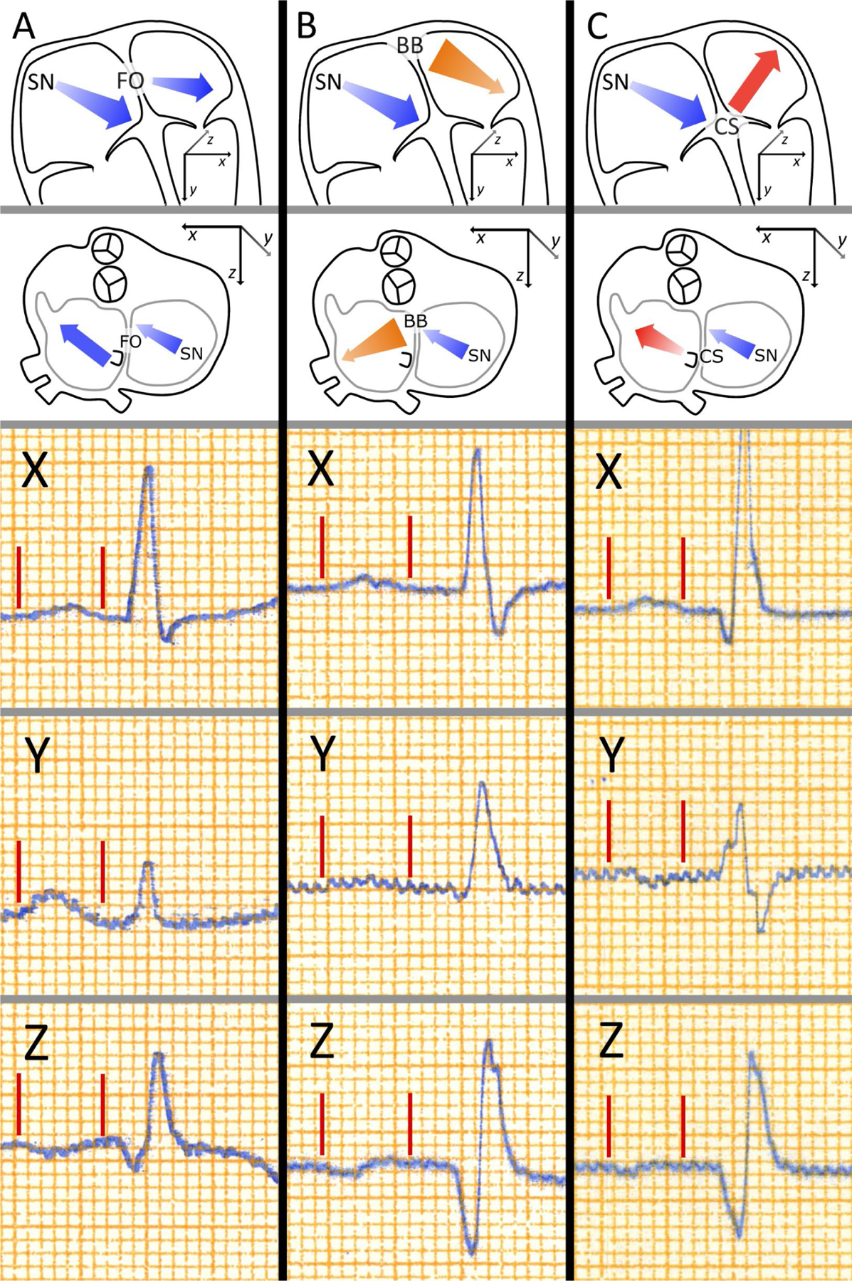 Figure 2: