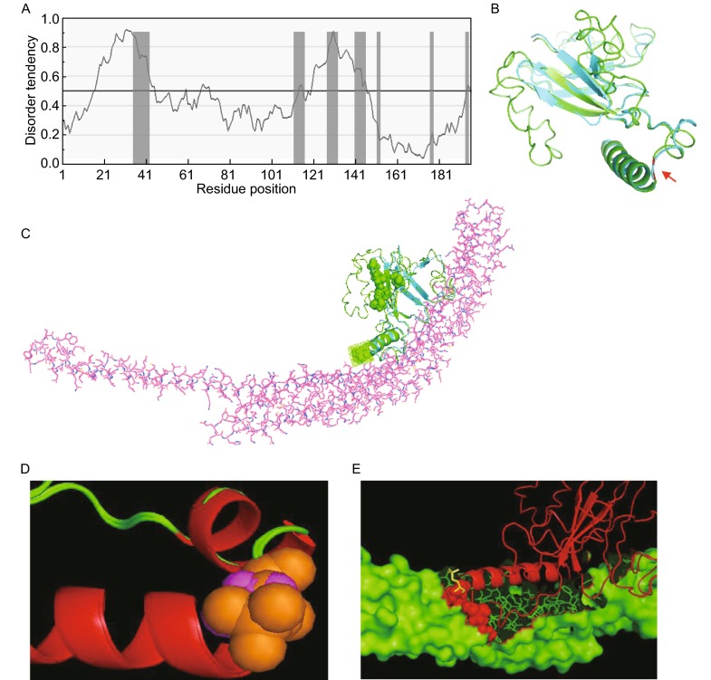 Figure 5