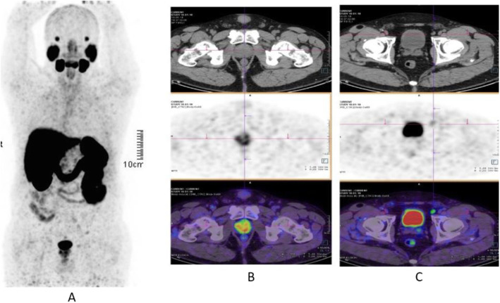 Fig. 27