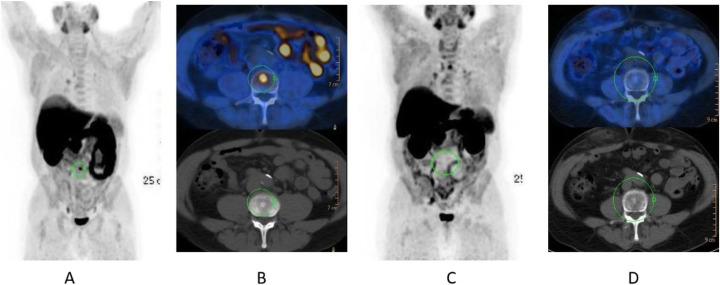 Fig. 24