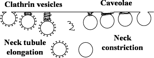 FIG. 5.