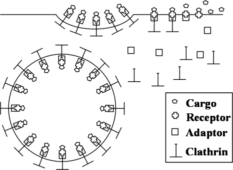 FIG. 4.