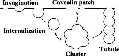 FIG. 6.