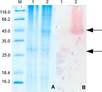 Fig. 4