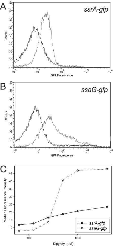 FIG. 1.