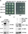 Fig 8