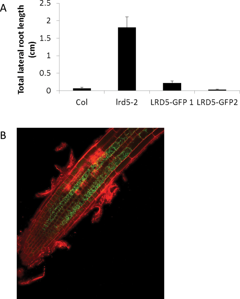 Fig. 8.