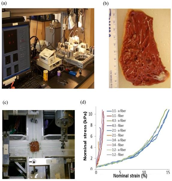 Figure 2 (online)