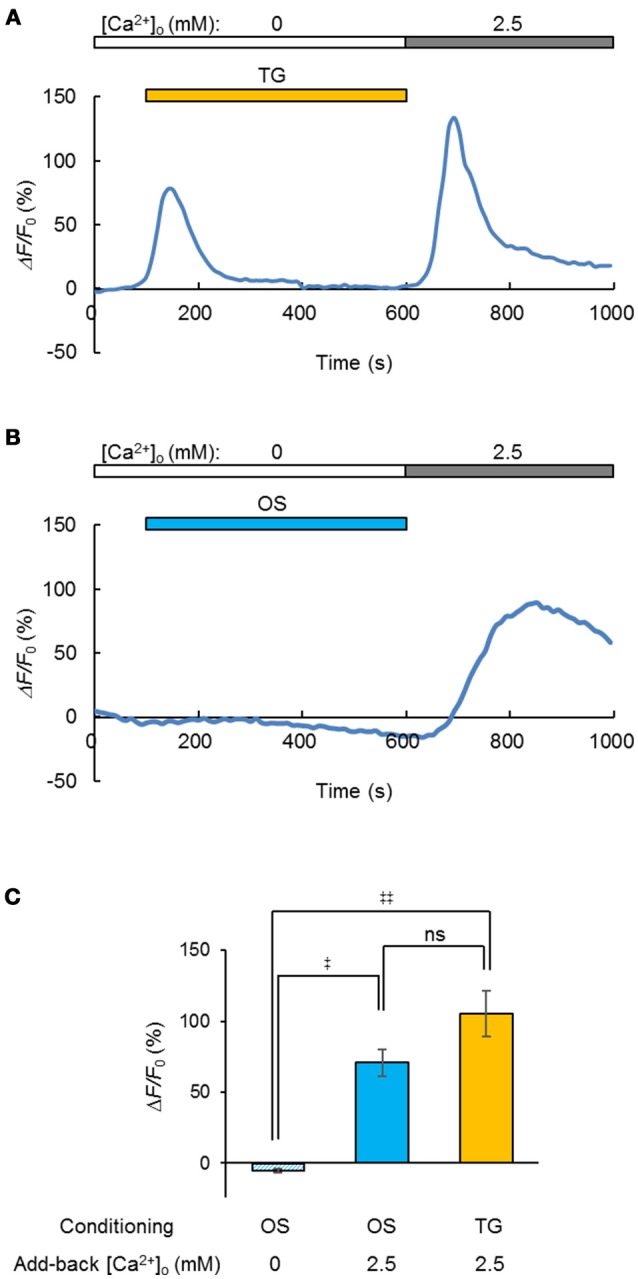 Figure 5