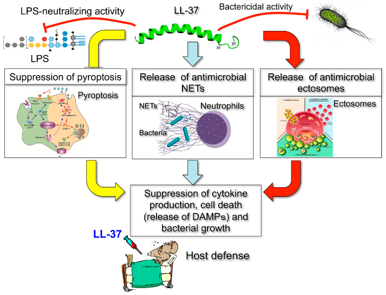 Figure 16